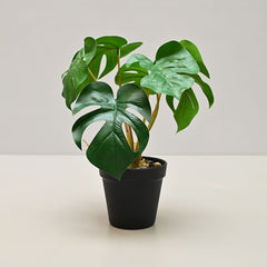 Artificial Monstera Plant Small