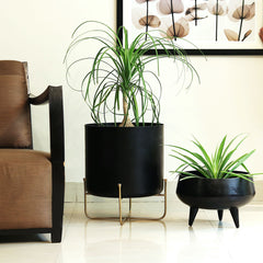 Large Black Planter On Stand