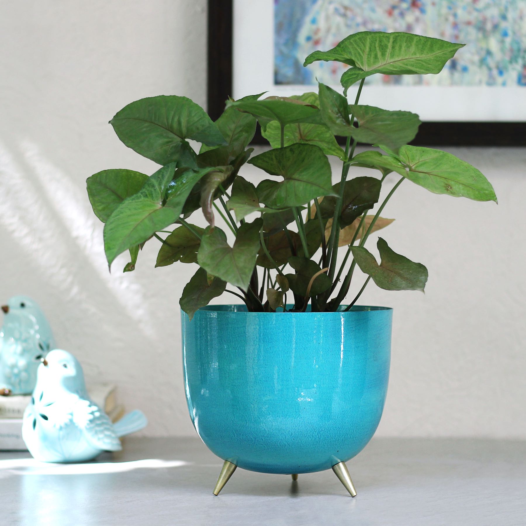 Bright Blue Bucket Planter With Legs