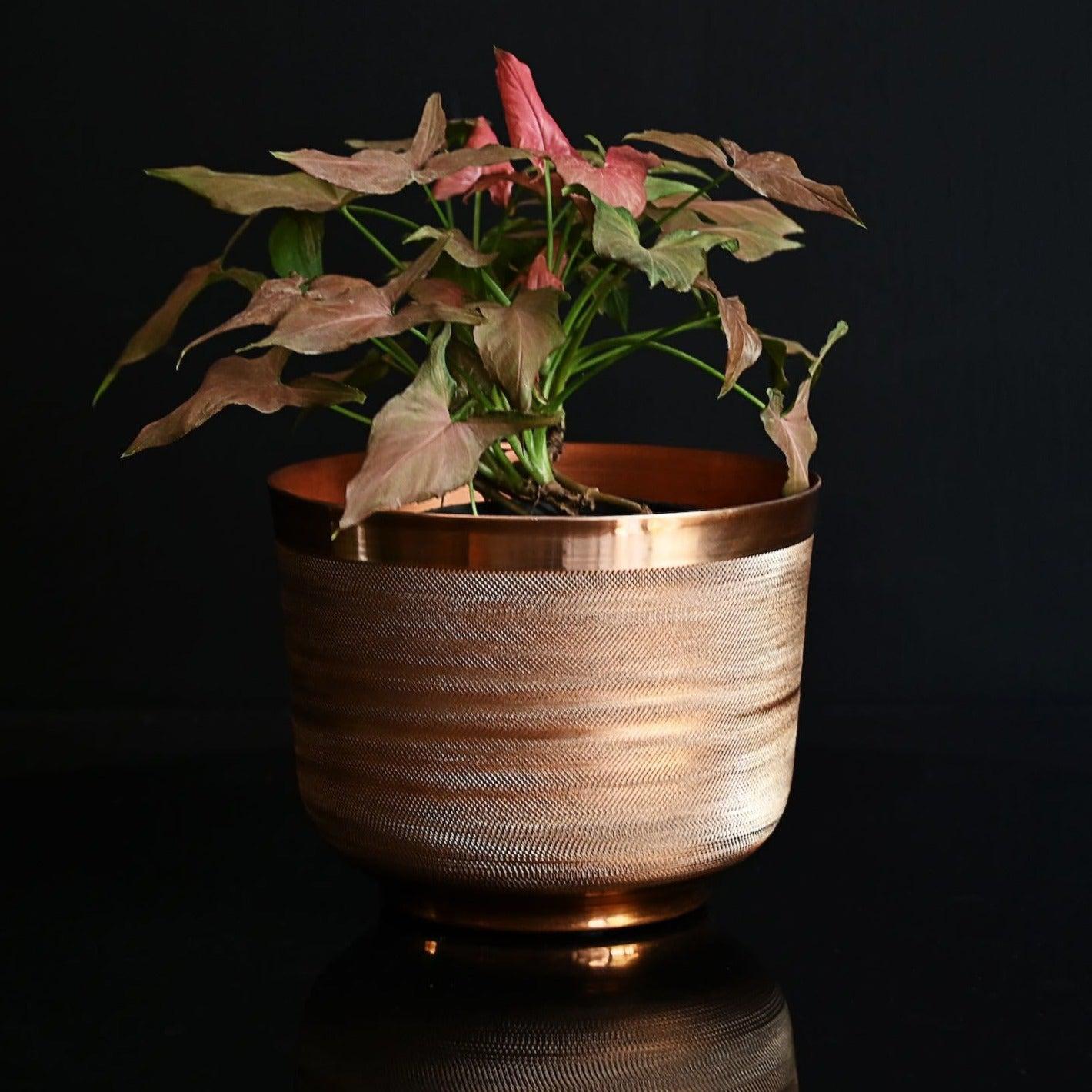 Copper Planter Ridged