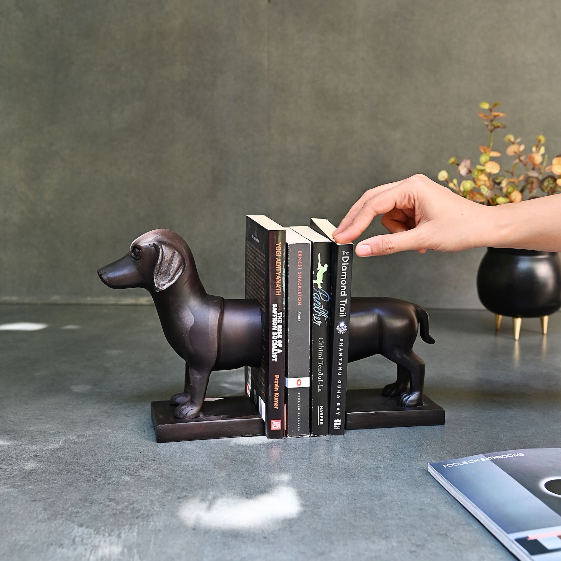 Daschund Dog Bookends