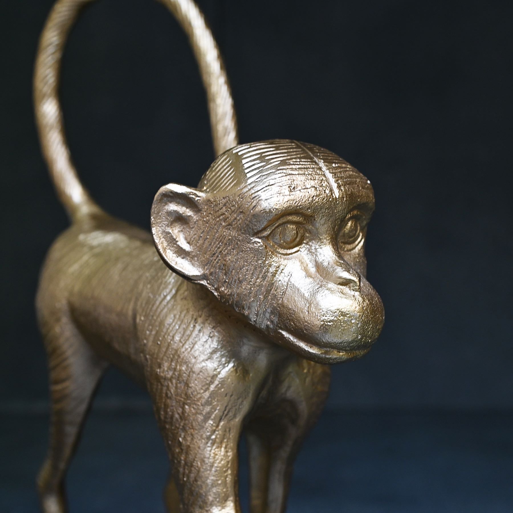 Gold Monkey Showpiece