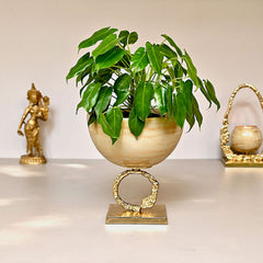 Golden Glass Bowl Centrepiece