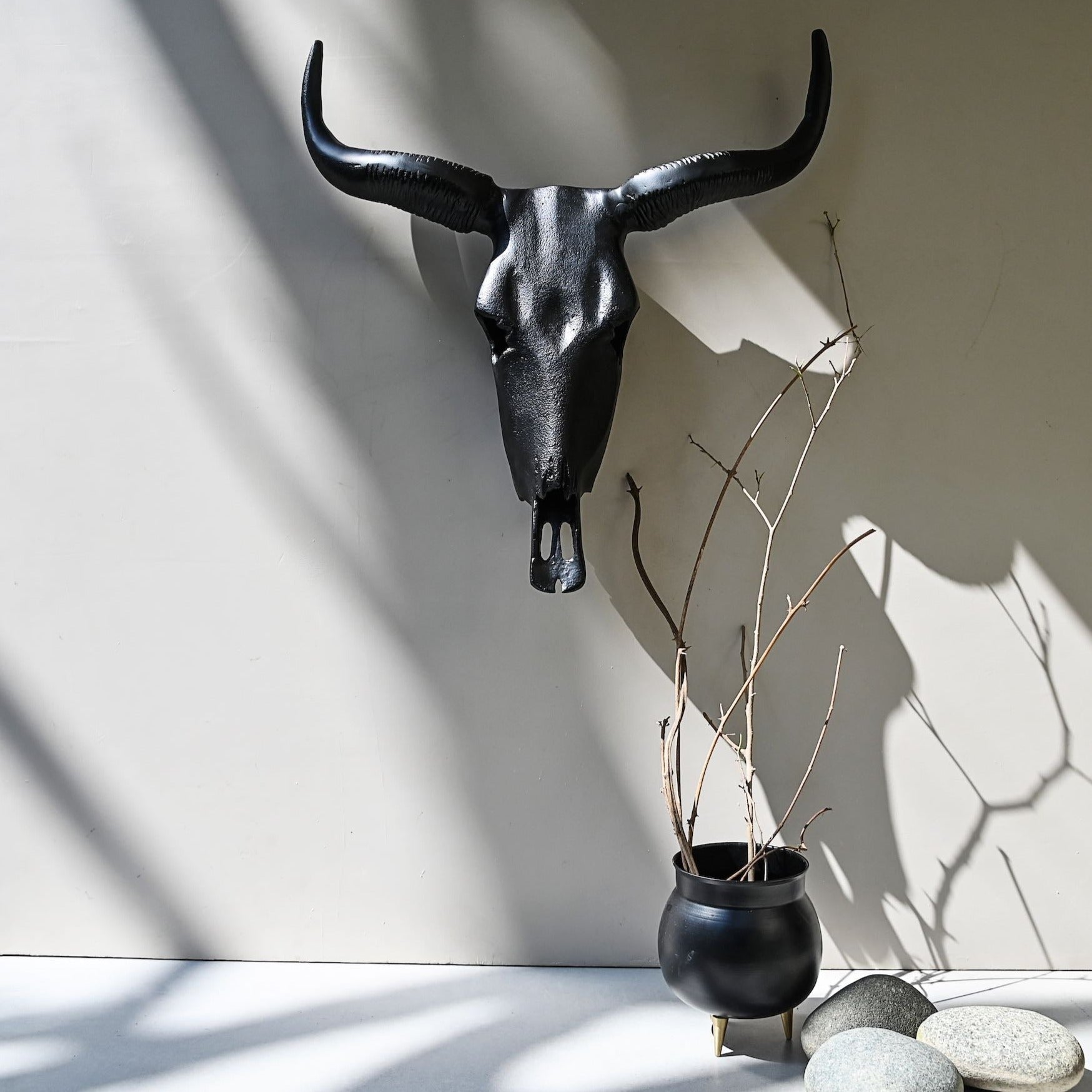 Long Horn Steer Wall Décor