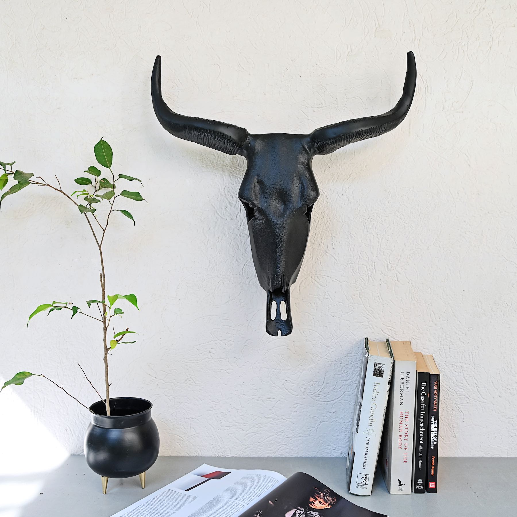 Long Horn Steer Wall Décor