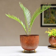 Decorative Rust Indoor Planter