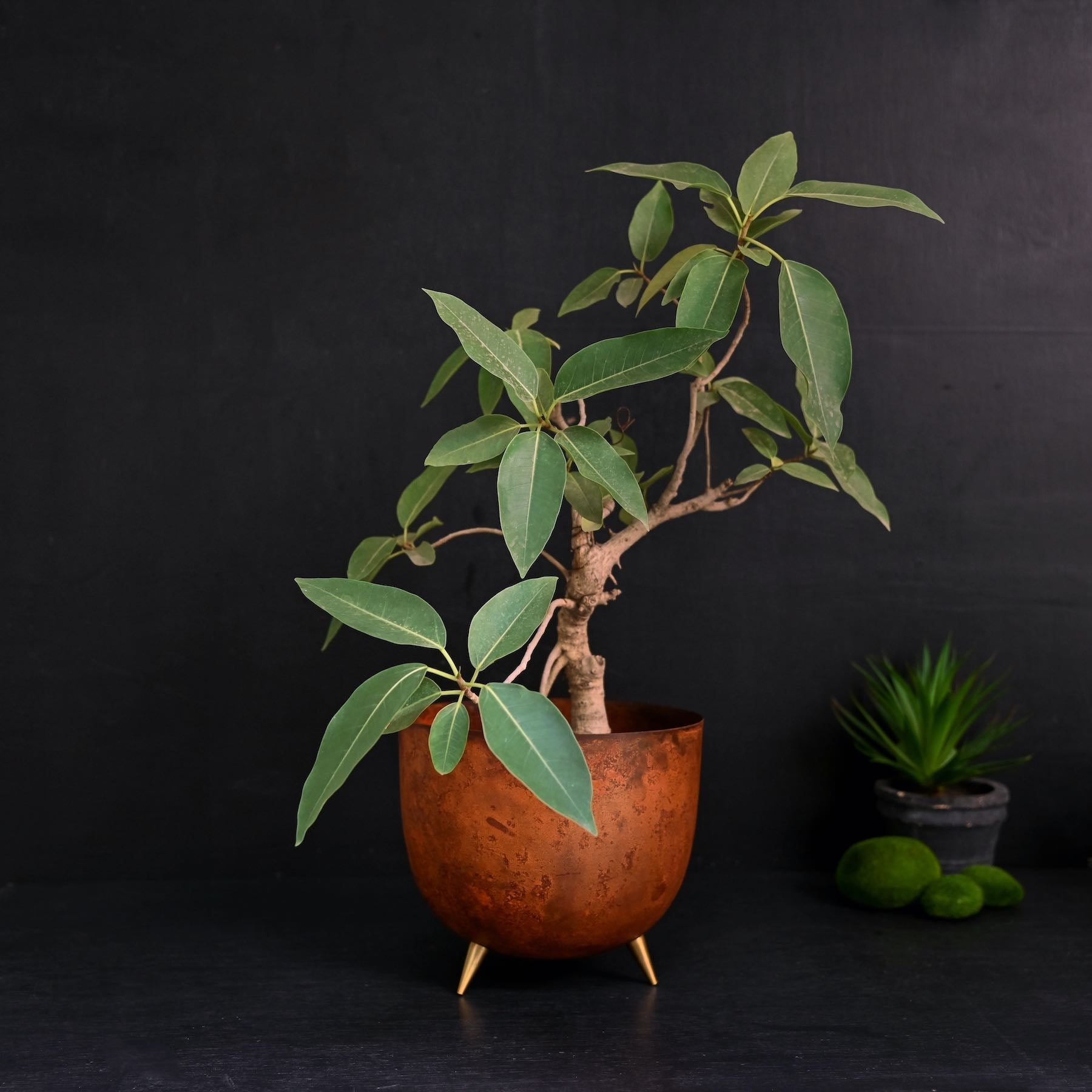 Decorative Rust Indoor Planter