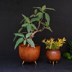 Decorative Rust Indoor Planter